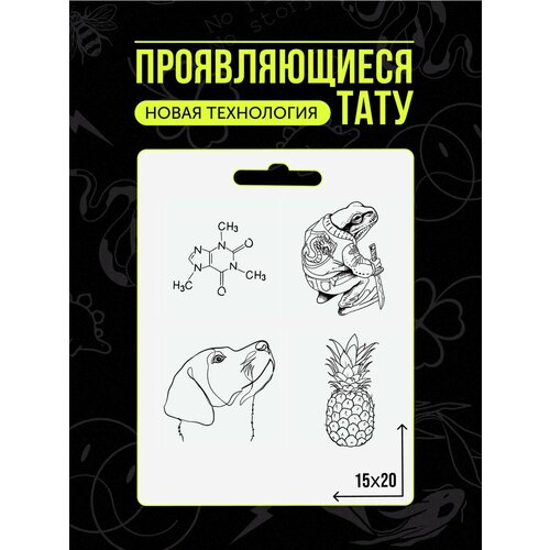 ���� ���� ���������� �������������� ��������, ������ �� 450 ���