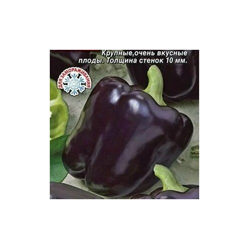 ���� ������������� ������ ����� �������� ������ ����, ������ �� 128 ���