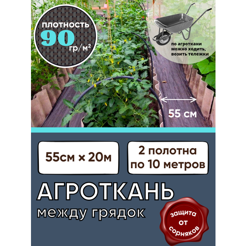 ���� ��������� ����� ������, ������ 55��,, ������ �� 750 ���