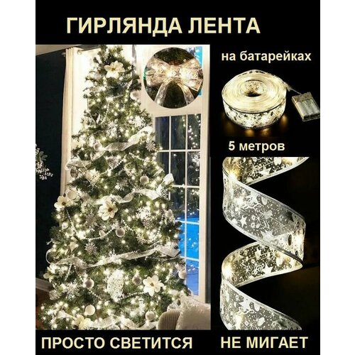 ���� �������� BOTTONCINI ������������, ���������, �������, 5 �, ������ �� 658 ���