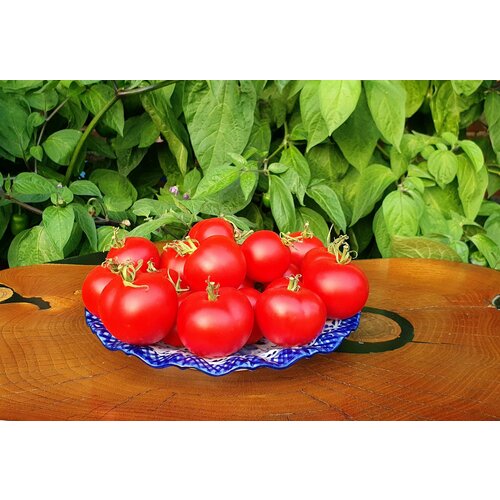 ���� ������ ������ �������� �������� (Northern Queen) / Seeds And Goods / � �������� zip-lock ��� ���������� 10 �����, ������ �� 249 ���