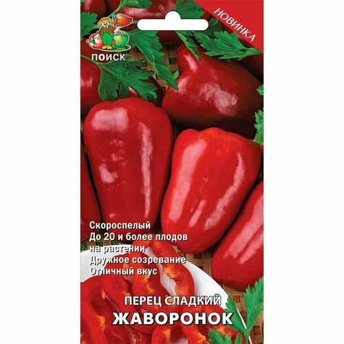 ���� ������ ����� �������� ����������� ����� 