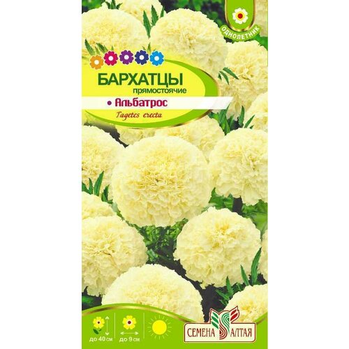 ���� �����. �������� ��������� 0,1� (������ �����). ����� �� 3-� ���������., ������ �� 202 ���