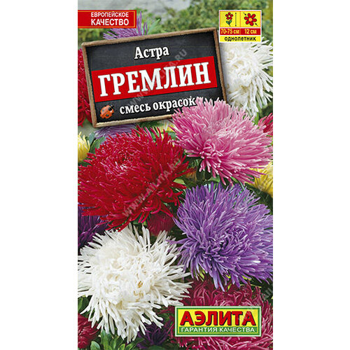 ���� ������ ����� 