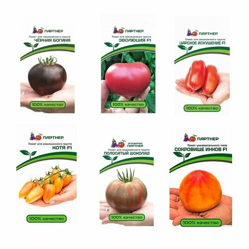 ���� ����� ����� ������� ������� ��� ������� (����, ��������� �������, ��������, ��������� �����, ������� ���������, ������ ������), ������ �� 1120 ���