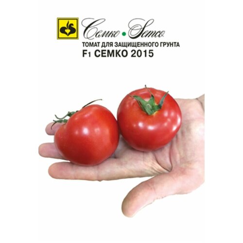 ���� ������ ����� ����� 2015 F1 10�� ����� (�����), ������ �� 195 ���