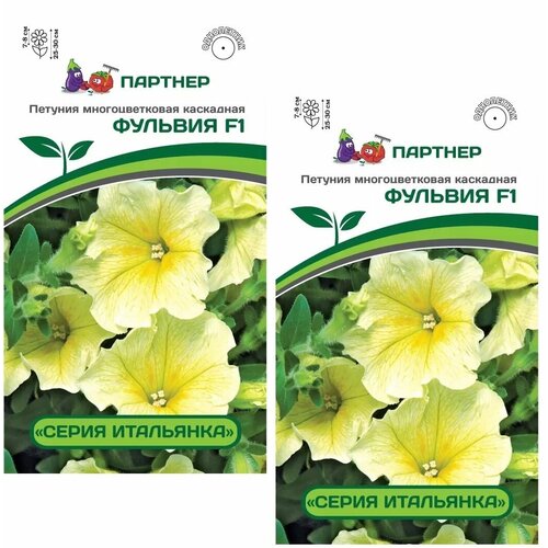 ���� ������ ������� ������������� ��������� ������� F1 /��������� �������/ 2 �������� �� 5 �����, ������ �� 530 ���