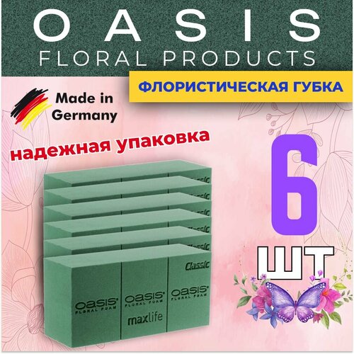 ���� �������������� �����, ��� ������, �������, ����� 6 ��, ������ �� 1475 ���