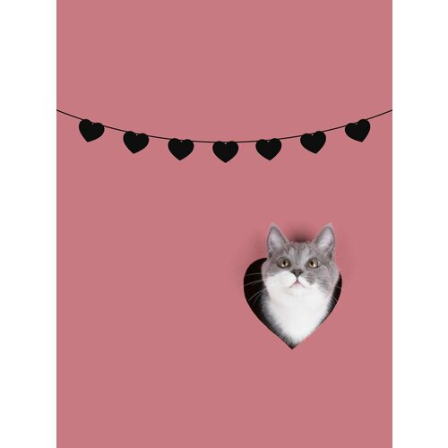 ���� �������� �������� �������� �� ���� ������ - ������, ������ �� 750 ���