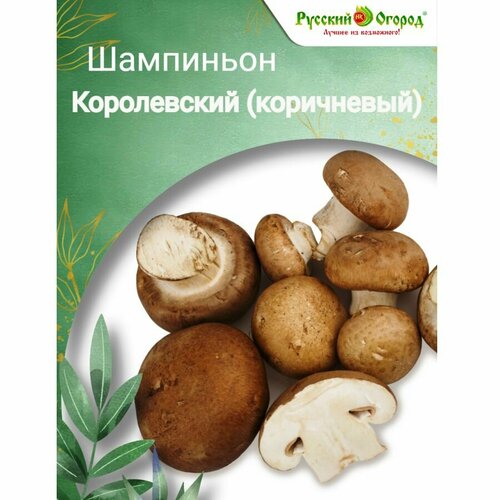 ���� ��������� ����������� (����������), ������ �� 296 ���