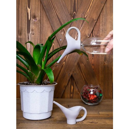 ���� ����� ������� ��� �������, 1��, ������ �� 292 ���