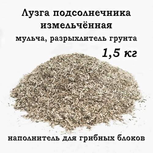 ���� ����� ������������� ������������, ������, ������������ ��� �����, ����������� ��� ������� ������, 1.5��., ������ �� 400 ���