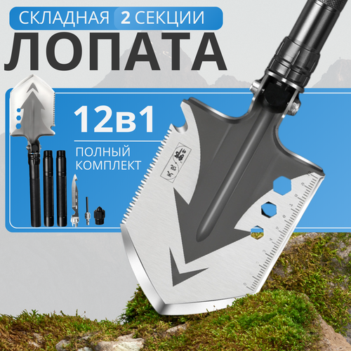 ���� ������ ������������������� �������� ��������, ������ �� 1650 ���