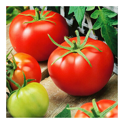 ���� ����� ������� F1 15�� (���� ������), ������ �� 171 ���