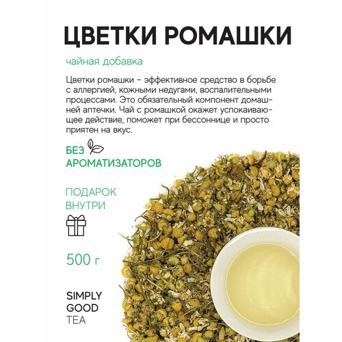 ���� ������ ������� ������ ������� 500 ��, ������ �� 1116 ���