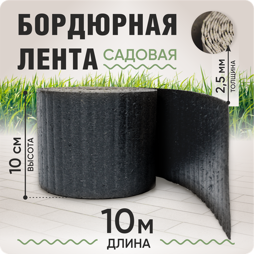 ���� ��������� ����� ������� 10 ��, ����� ������ 10 �, ������� 2-2,5 ��, ����� ������, ������ �� 449 ���