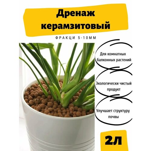 ���� ������ / �������� ������ 2�, ������ �� 250 ���