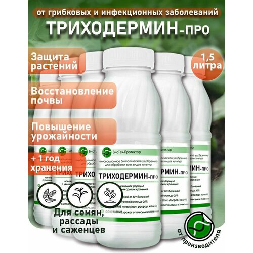 ���� ���������a ����������� ��� 6�250 ��- �������������� ��������� ��� ��������, ������ �� 1065 ���