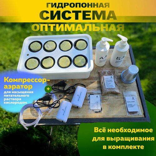 ���� ����������� ������� ������ ����������� c ���������, ������ �� 1980 ���