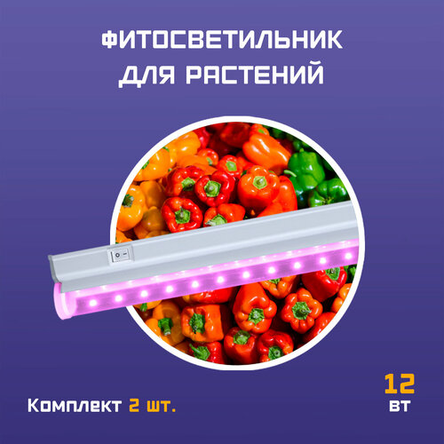 ���� ���������� ��� �������� ��������/��������������/��������� / ����-������� ������ (���������� ��������) 12 �� 600�� / �������� 2 ��, ������ �� 1103 ���