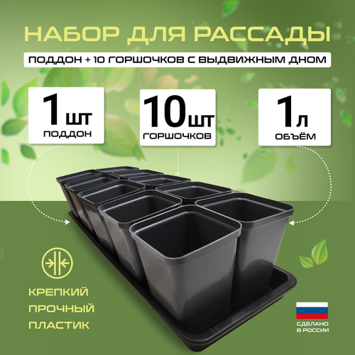 ���� ����� ������� � ��������� ���� 1�. 10�� �� �������, ��� �������, ������ �� 1044 ���