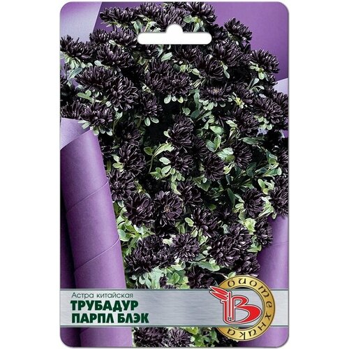 ���� ������ ����� ��������� �������� ����� ���� (20 �����), ������ �� 285 ���