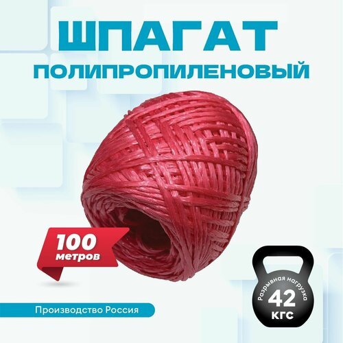 ���� ������ ���������������� 100�, ��� �������, ��� ���� � ����, ���� �������, ������ �� 400 ���