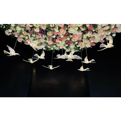 ���� �������� 