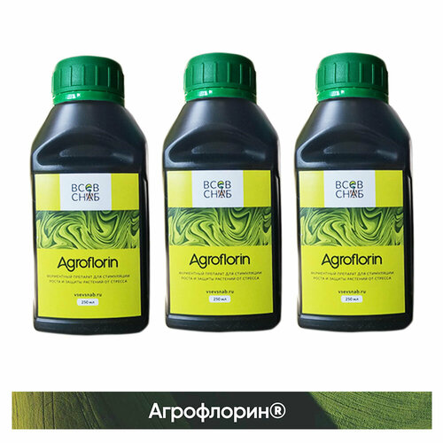 ���� ����������. ���������� ������ ���������� �� ������ ������. ����� 3 ������� �� 250 ��., ������ �� 4870 ���