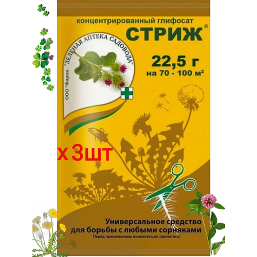 ���� �������� ������ �������� 