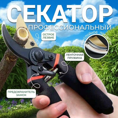 ���� ������� �������, �������� ������ ����������������, ������� ������� ��� ������ � �����, ������ �� 990 ���