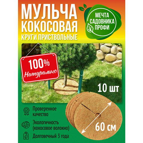 ���� ������������ ���� 60��, ����� 10��, ��������� ������, ����������, ������ �� 2890 ���