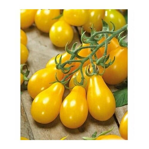 ���� ������������� ������ ������ ������ �����, ������ �� 102 ���