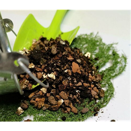 ���� �������� 