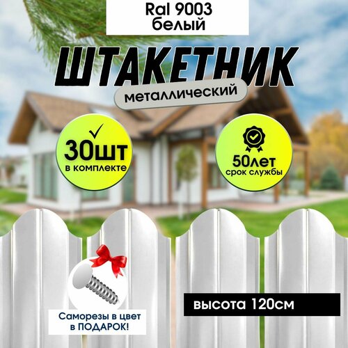 ���� �������� ������� ��� ���� ��������� ����� 120��, ������ �� 8690 ���