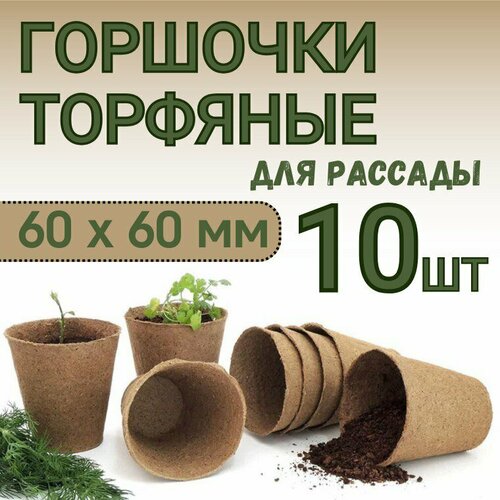 ���� �������� ���������� �������� ������� ��� ������� � ����������� ������� �� ������������ ����� 60*60 ��, ����� 10 ��, ������ �� 289 ���