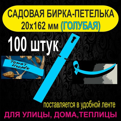 ���� ������� �����-�������� 20x162 ��. 100 ���� (�������), ������ �� 350 ���