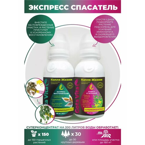 ���� ����� ��������� ��� ��������������, ������ �� 1243 ���