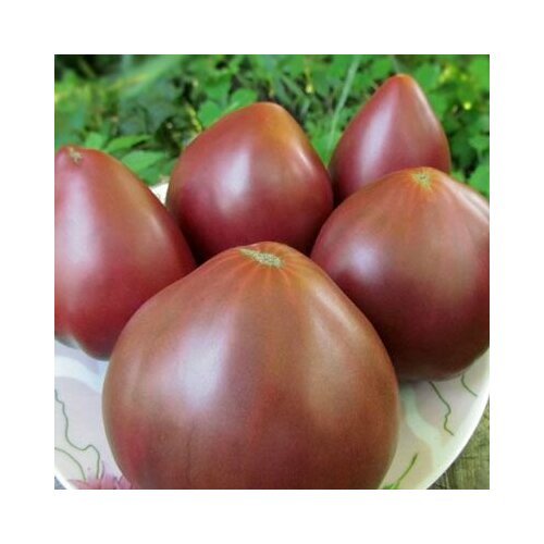 ���� ������������� ������ ������ ���� ���������� ������, ������ �� 228 ���