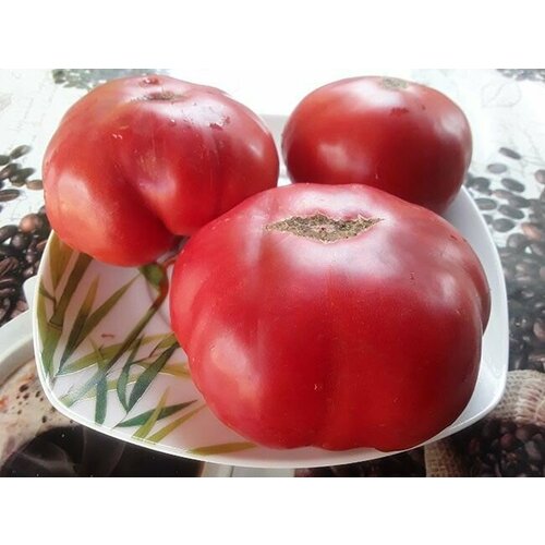 ���� ������������� ������ ������ ���� �������, ������ �� 127 ���