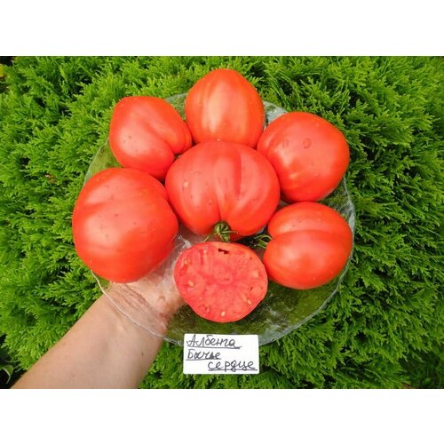 ���� ������������� ������ ������ ������� ����� ������, ������ �� 127 ���