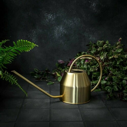 ���� ����� (1,2 �) ������ ������������� � ������� ������� ��� ��������� �������� �������� � ������ �� ���� ��� ����, ����� ��������� ������� ��������, ������ �� 2740 ���