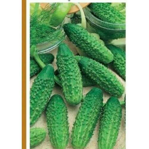 ���� ������������� ������ ������ ���������� F1, ������ �� 104 ���