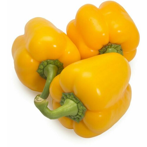 ���� ������������� ������ ����� �������� ������, ������ �� 102 ���