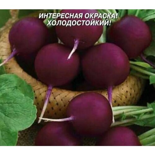 ���� ������������� ������ ������ ����������� �������, ������ �� 122 ���