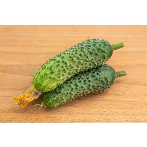 ���� ������������� ������ ������ ����� F1, ������ �� 102 ���