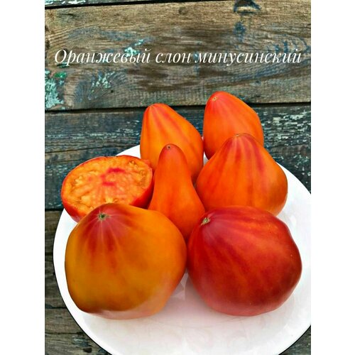 ���� ������������� ������ ������ ��������� ���� �����������, ������ �� 104 ���