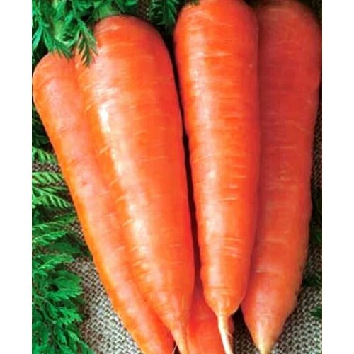 ���� ������������� ������ ������� ������, ������ �� 128 ���