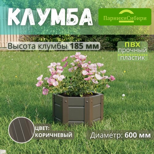 ���� ������� ������/������ �� ���, ��������, 