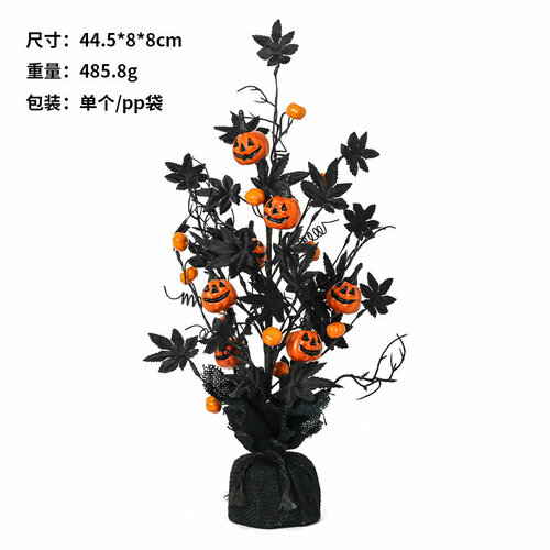 ���� ��������� 